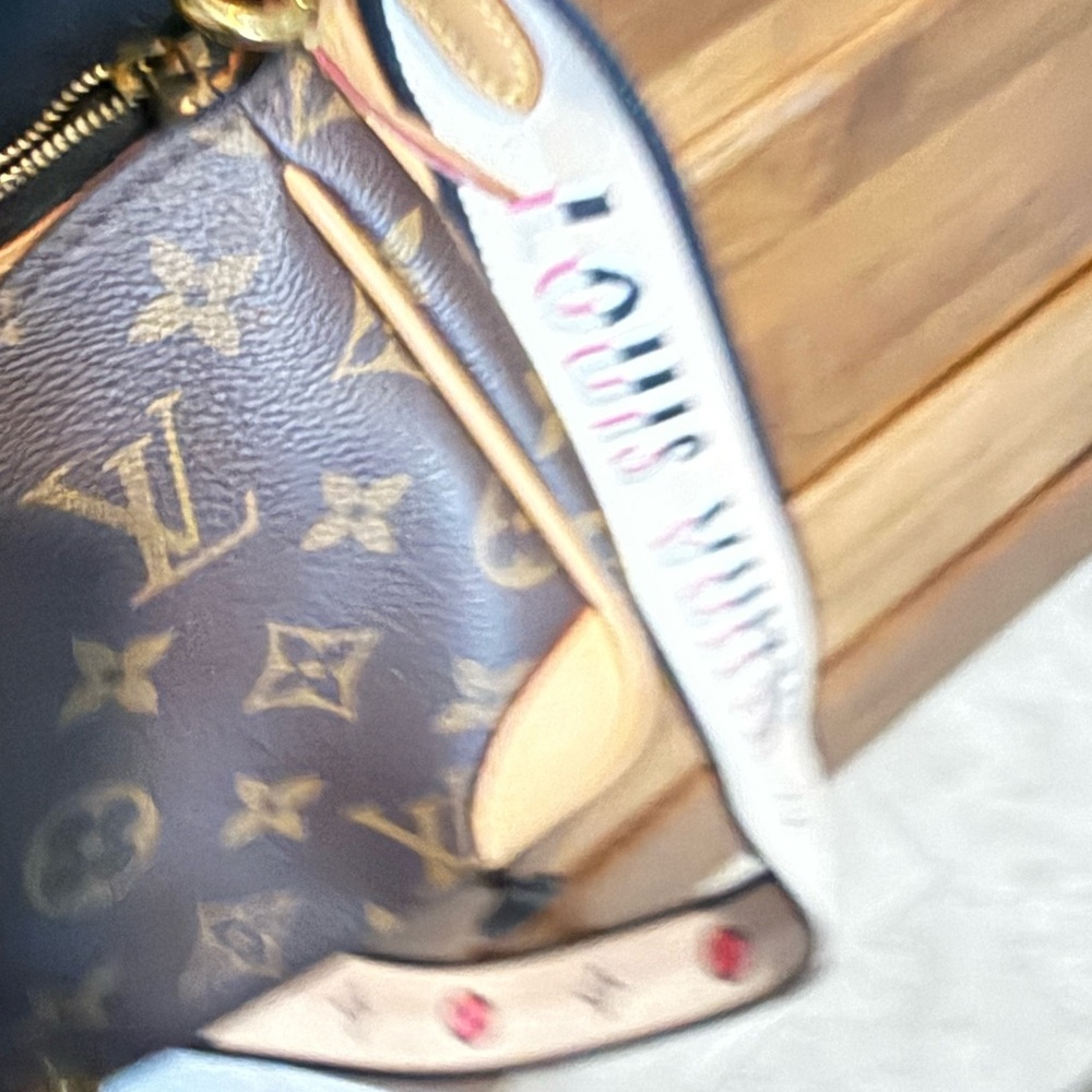 Louis Vuitton Monogram Diane Brown and Tan Crossbody Bag - Picture 3 of 5